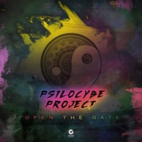 Psilocybe Project - rockfall