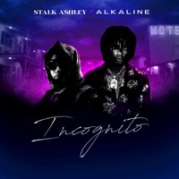 Incognito - sunburn