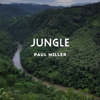 Paul Miller - pluckbraker
