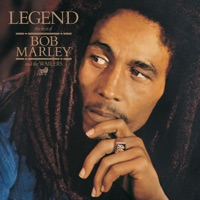 Bob Marley & The Wailers - could you be loved (with lp giobbi)
