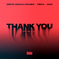 Dimitri Vegas & Like Mike - the flight