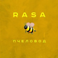 Rasa - пломбир