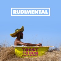 Rudimental - love you more