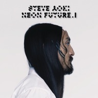 Steve Aoki - waste it on me (feat. bts)
