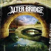 Alter Bridge - wonderful life
