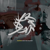 Paradox - the last b-boy
