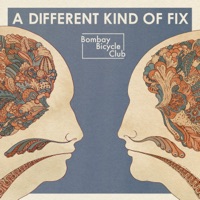Bombay Bicycle Club - it's alright now
