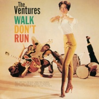 The Ventures - little people