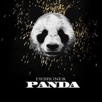 Desiigner - priice tag