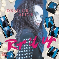 Dead or Alive - something in my house