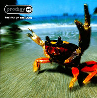 The Prodigy - firestarter
