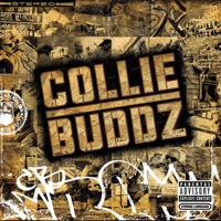 Collie Buddz - love is life (ricky tuff & brian brainstorm bootleg)