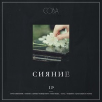 Сова - тарелки