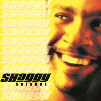 Shaggy - boombastic