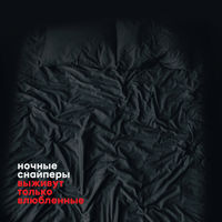 Ночные Снайперы - 31-я весна