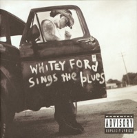 Everlast - white trash beautiful