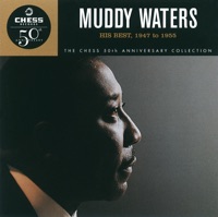 Muddy Waters - my home is in the delta