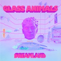 Glass Animals - pork soda