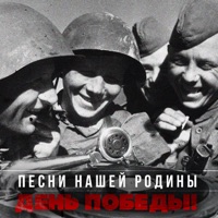Владимир Златоустовский - вечный огонь