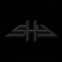 Shy - say something