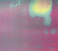 New Order - regret