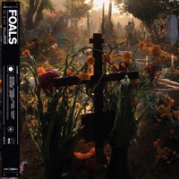 Foals - the runner