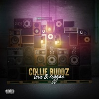 Collie Buddz - playback
