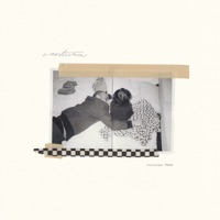 Anderson .Paak - king james