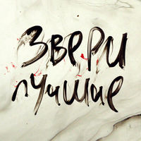 Звери - южная ночь