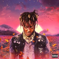 Juice WRLD - armed and dangerous
