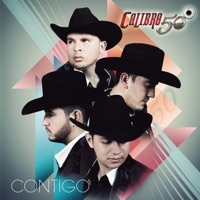 Calibre - schlager