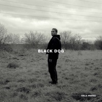 Arlo Parks - cola