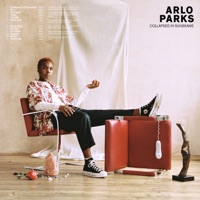 Arlo Parks - eugene