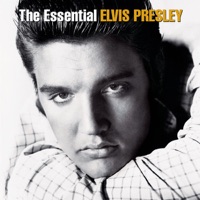 Elvis Presley - a little less conversation