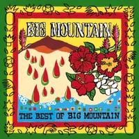 Big Mountain - baby i love your way_1994