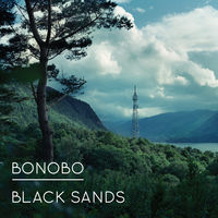 Bonobo - terrapin