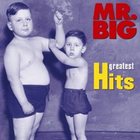 Mr. Big - to be with you (