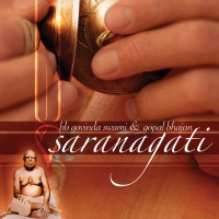 BB Govinda Swami - jaya radha madhava
