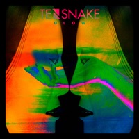 Tensnake - coma cat (extended mix)