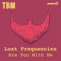 Lost Frequencies - reality