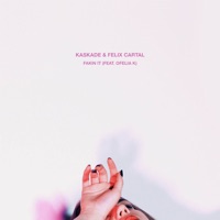 Felix Cartal - mood (steff da campo rmx)