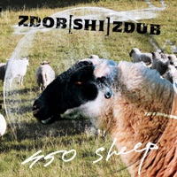Zdob Si Zdub - видели ночь