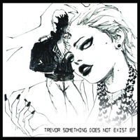 Trevor Something - can you feel it