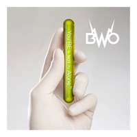 BWO - lay your love on me