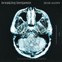 Breaking Benjamin - the diary of jane