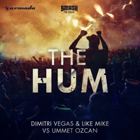 Dimitri Vegas & Like Mike - stay a while