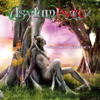 Asylum Pyre - taken away to the asylum