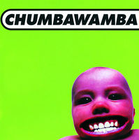 Chumbawamba - tubthumping