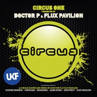 Flux Pavilion - starlight