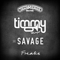 Timmy Trumpet - just in case